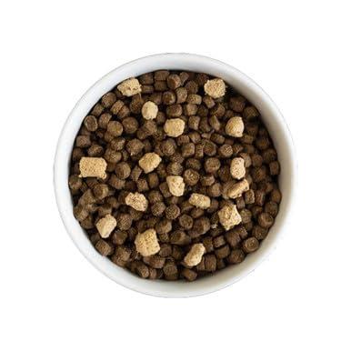 Open Farm freeze-dried raw chunks closeup for flavorful rewards