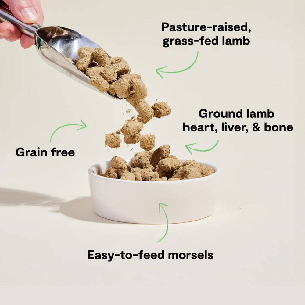 Open Farm lamb morsels close-up – high-protein texture for dogs.