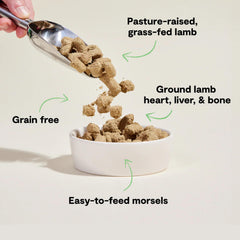 Open Farm lamb morsels close-up – high-protein texture for dogs.