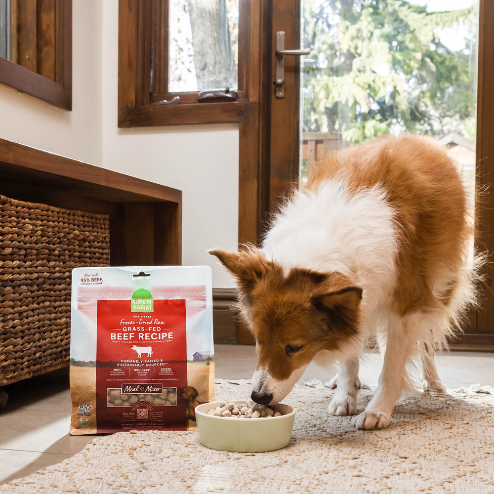 Open Farm travel-ready portion – resealable bag for trips and meals away from home.