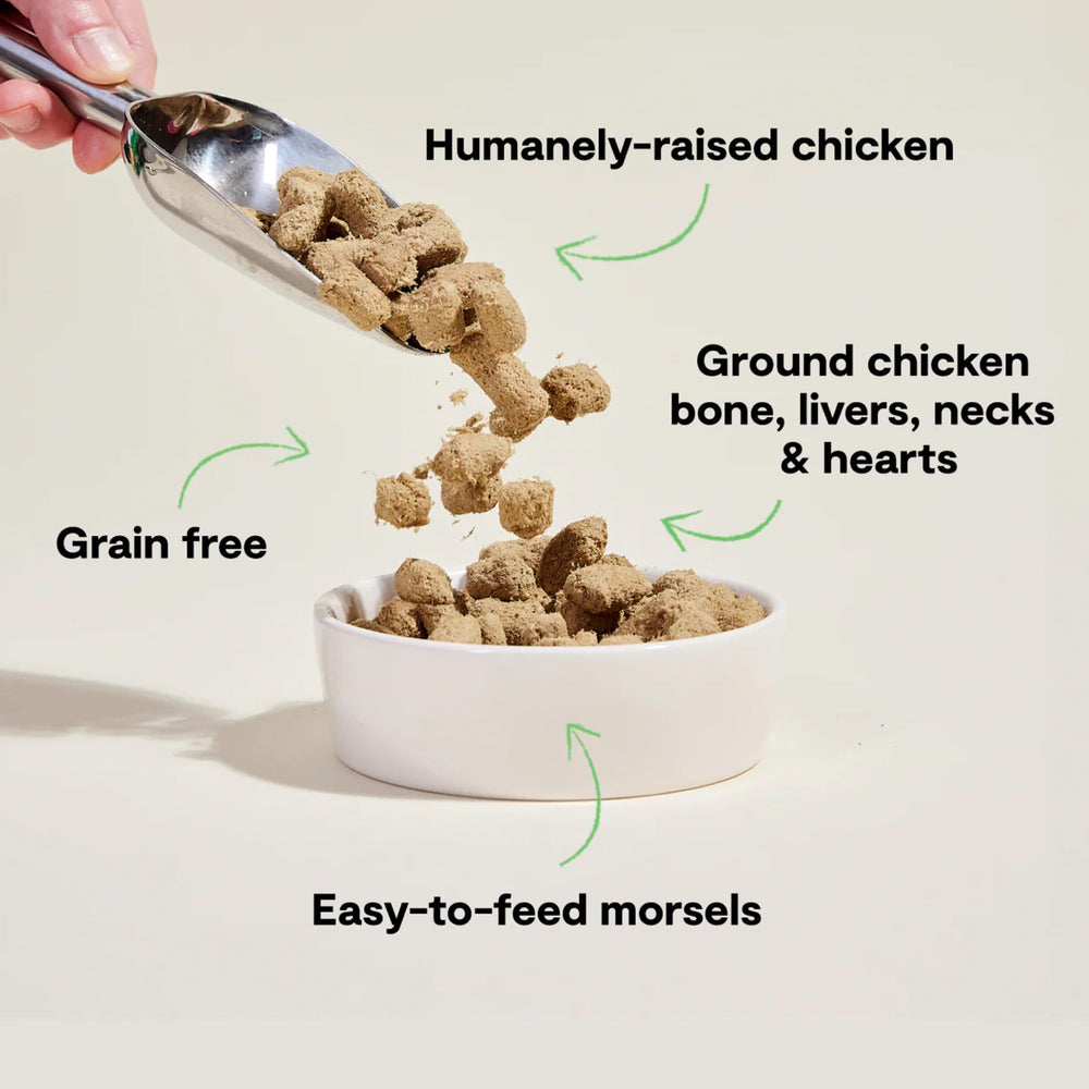 Open Farm morsels reveal organic veggies visible in bite; supports balanced canine nutrition.