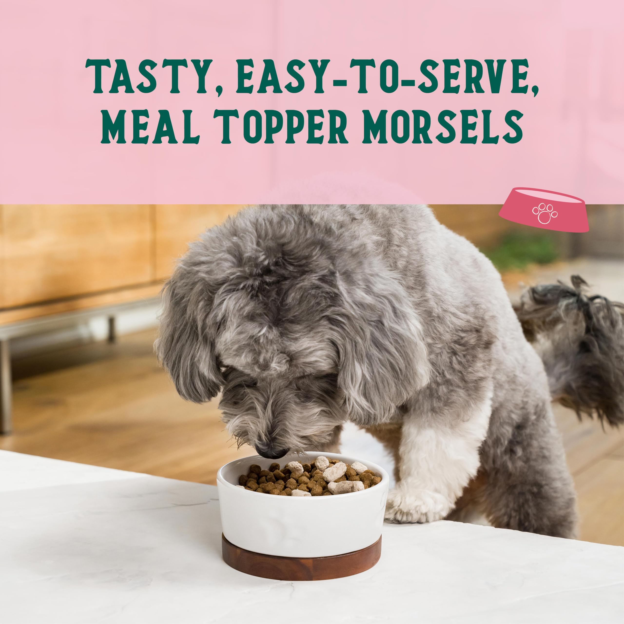 Open Farm Goodbowl wild-caugh salmon topper signals tasty protein boost for meals.