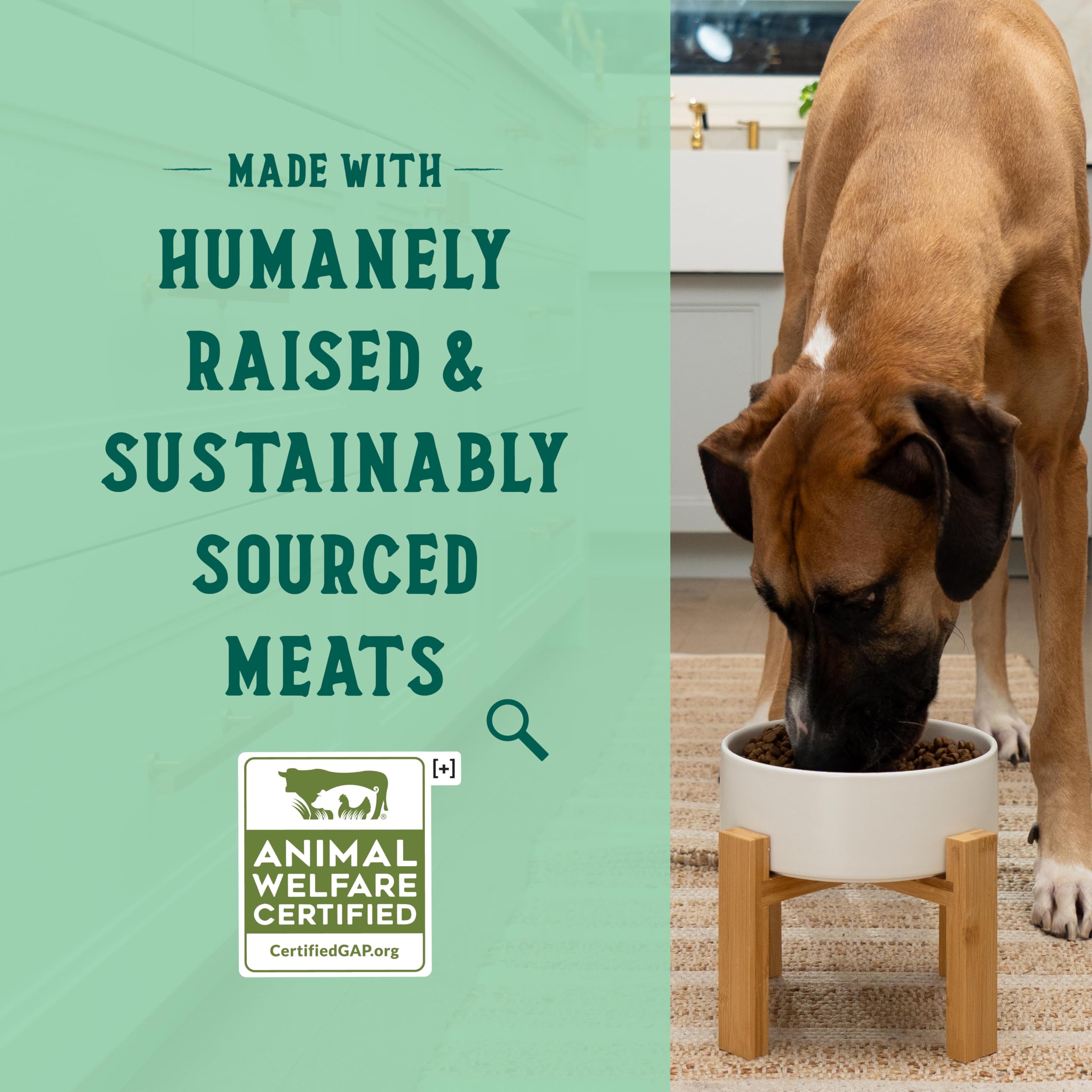 Open Farm Goodbowl Harvest Chicken first ingredient signals simple, high-quality nutrition.