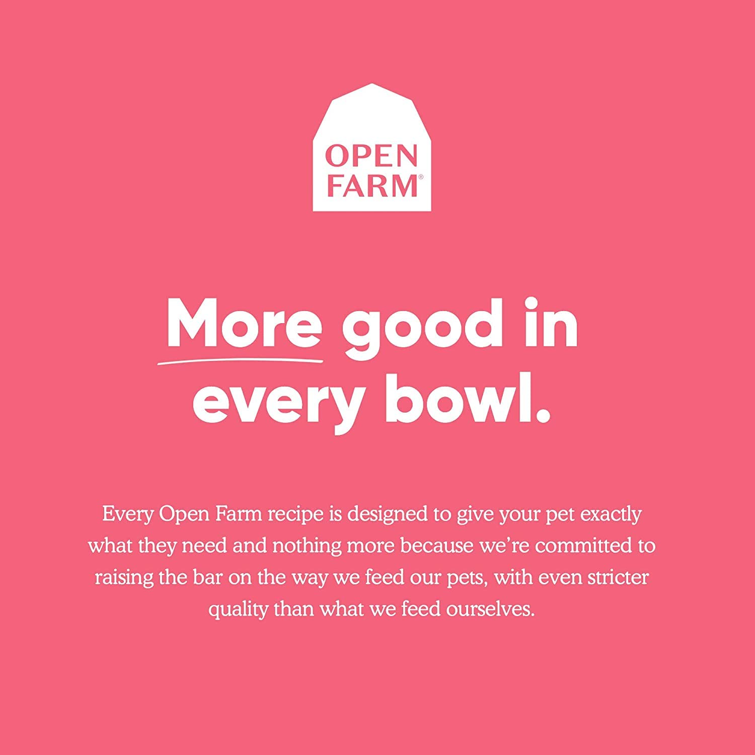 Open Farm grain-free dry cat food serving bowl showcases texture and aroma appealing to felines.