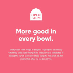 Open Farm grain-free dry cat food serving bowl showcases texture and aroma appealing to felines.