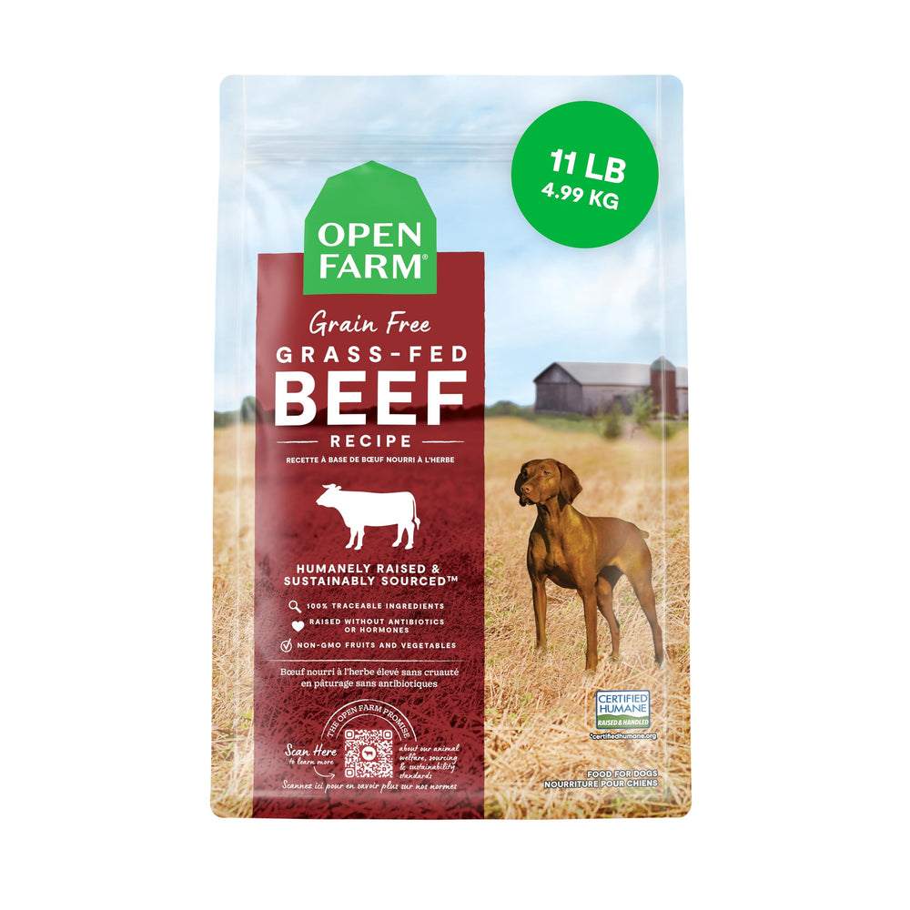 Open Farm grain-free dry dog food bag highlights grain-free protein for balanced meals.