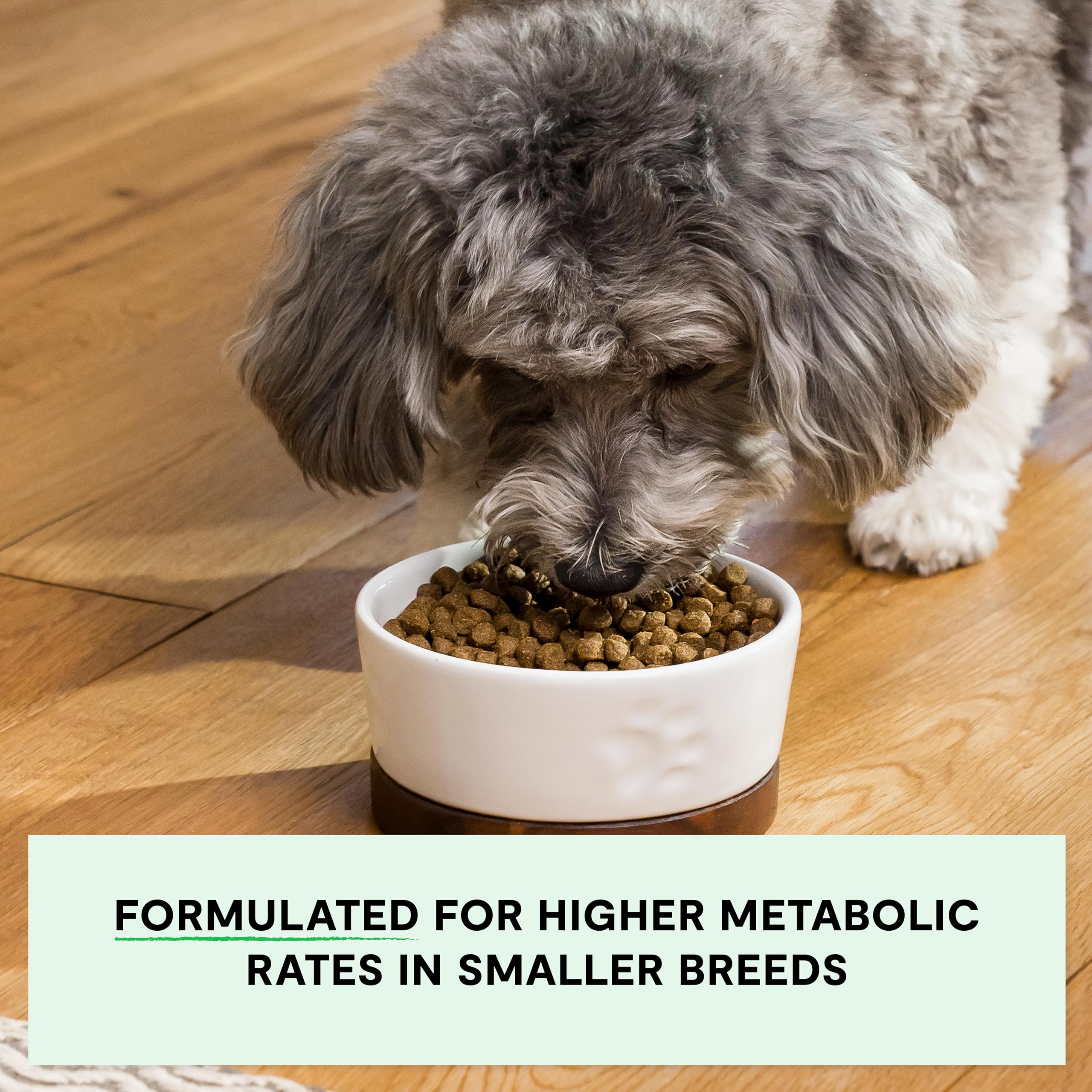 Open Farm grain-free kibble closeup emphasizing 100% traceable ingredients.