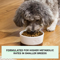 Open Farm grain-free kibble closeup emphasizing 100% traceable ingredients.
