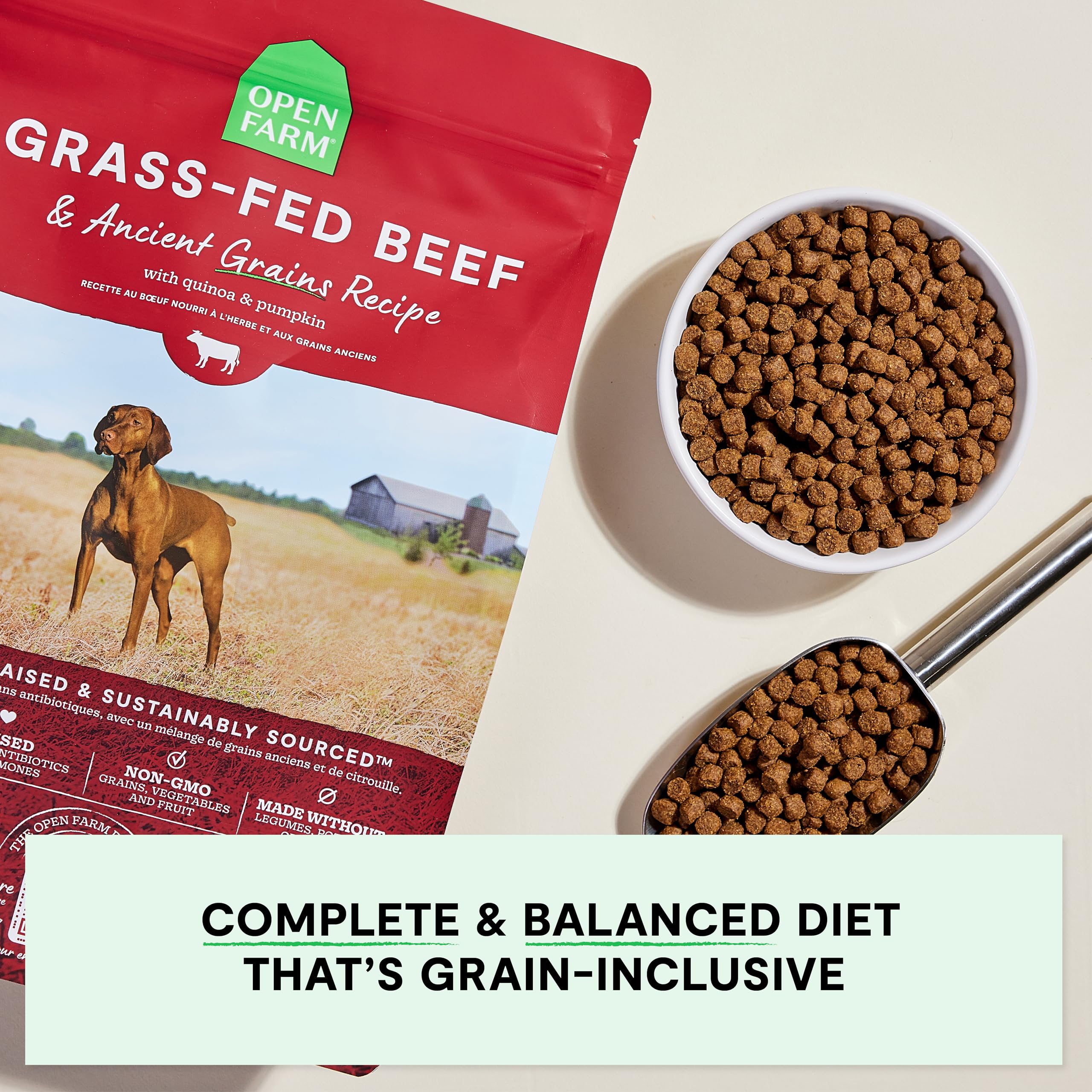 Open Farm Grass-Fed Beef Recipe bag closeup—high-protein, wholesome nutrition.