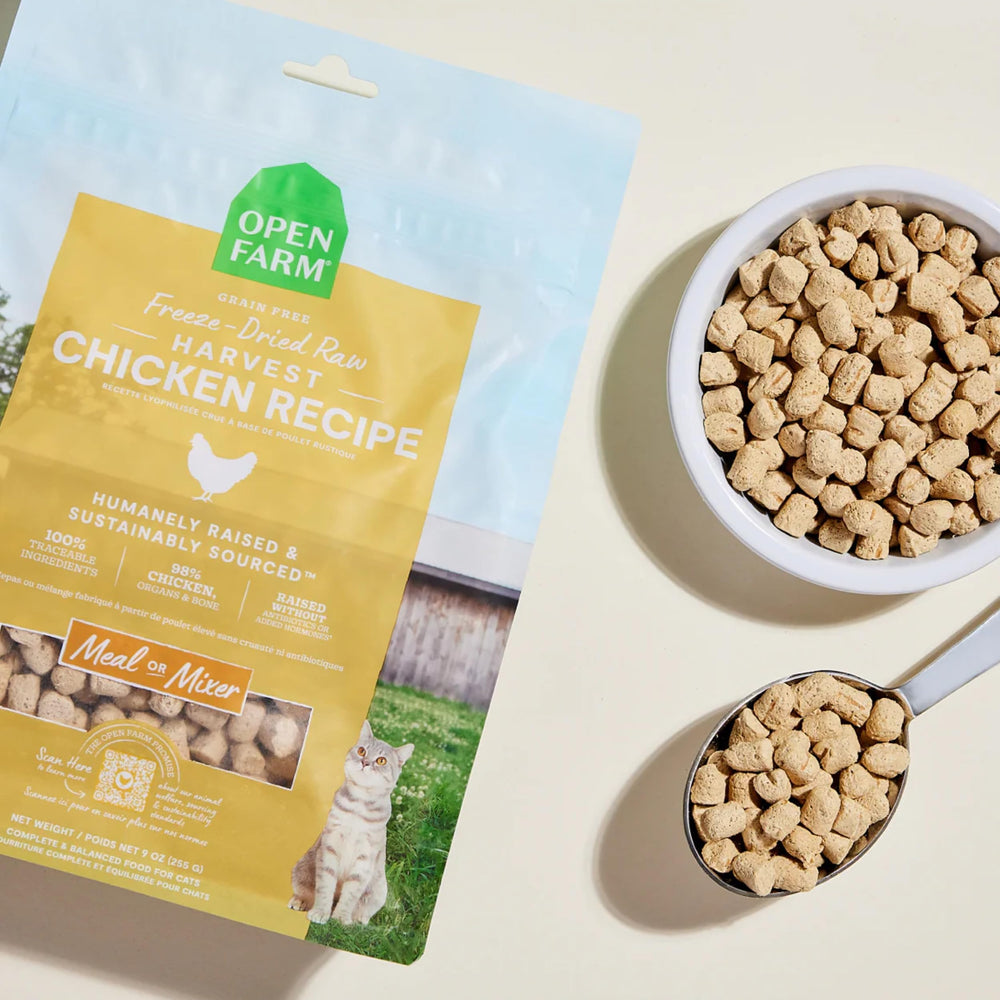 Open Farm Harvest Chicken Morsels rehydration image demonstrates soft, moist bites after adding water.