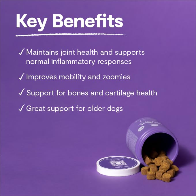Open Farm Hip & Joint Chews green-lipped mussel emphasizes natural joint support with vet-approved ingredients.