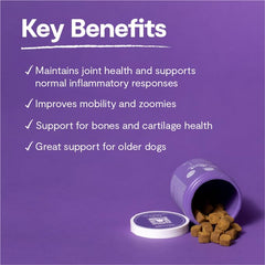 Open Farm Hip & Joint Chews green-lipped mussel emphasizes natural joint support with vet-approved ingredients.
