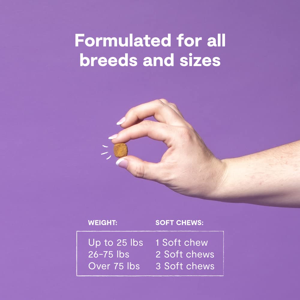 Open Farm Hip & Joint Chews jar cap highlights recyclable packaging and responsible waste practices.