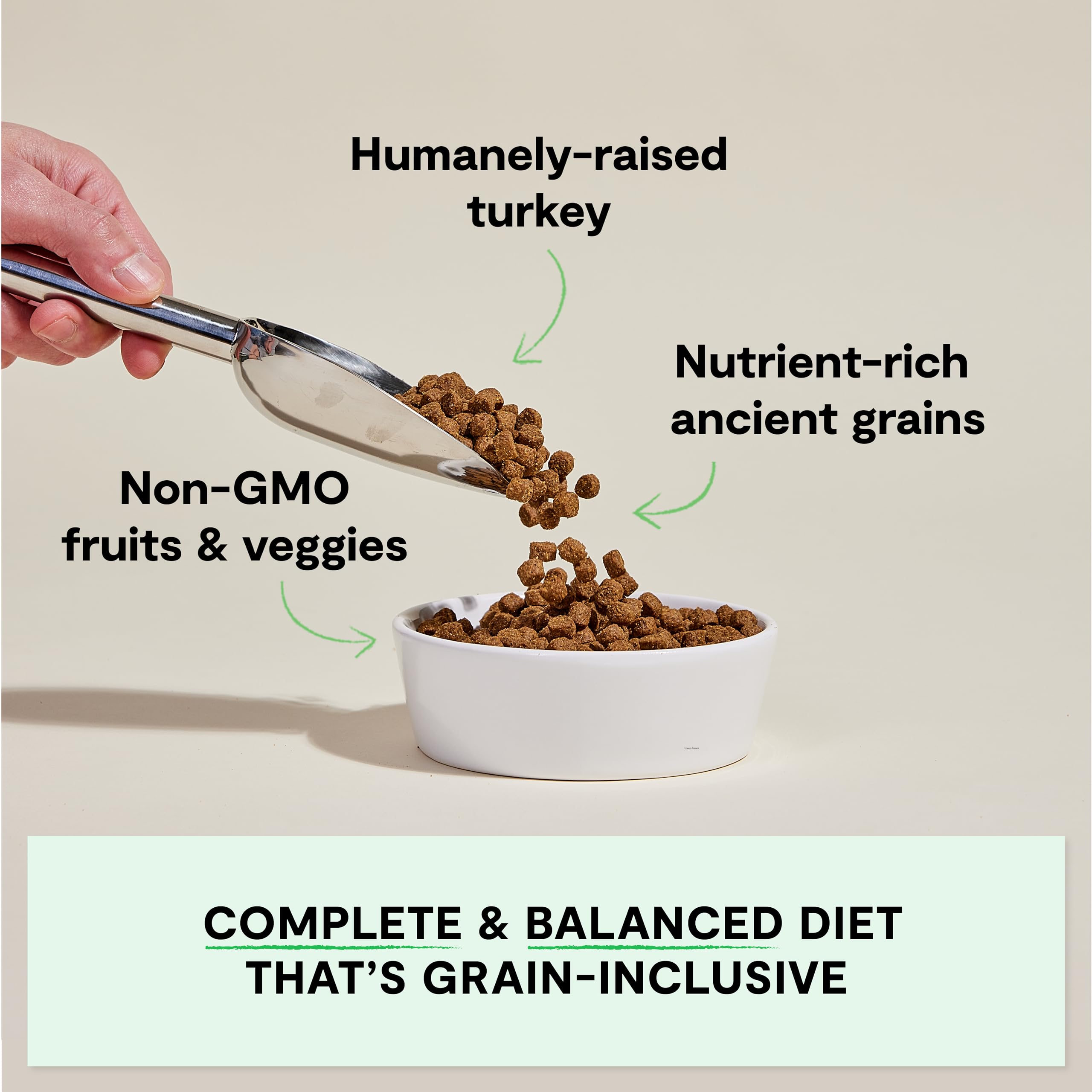 Open Farm homestead turkey recipe dry dog food bowl serving highlights wholesome, high-protein meal.