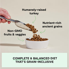 Open Farm homestead turkey kibble in bowl highlights protein-rich, digestible formula for dogs