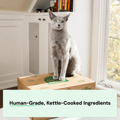 Open Farm kettle-cooked texture close-up signals savory, crave-worthy wet cat food.
