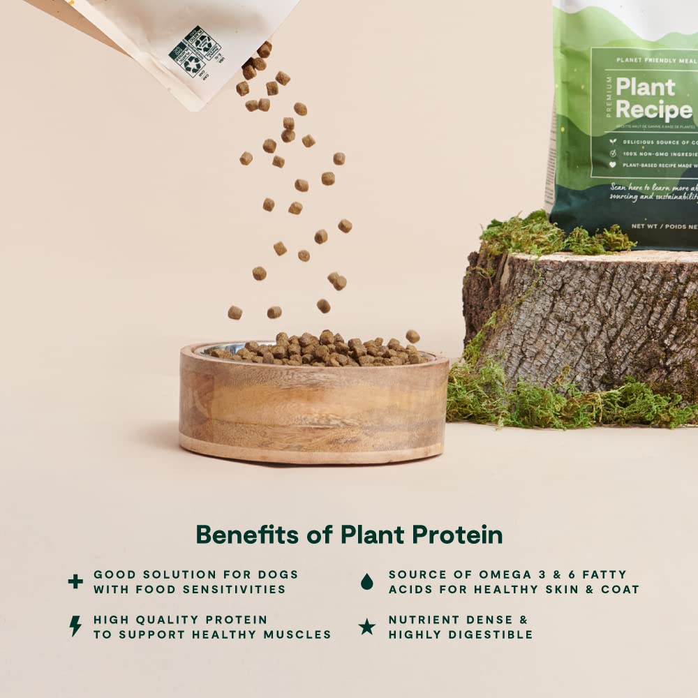 Open Farm Kind Earth texture close-up showcases crunchy kibble designed for easy chewing.