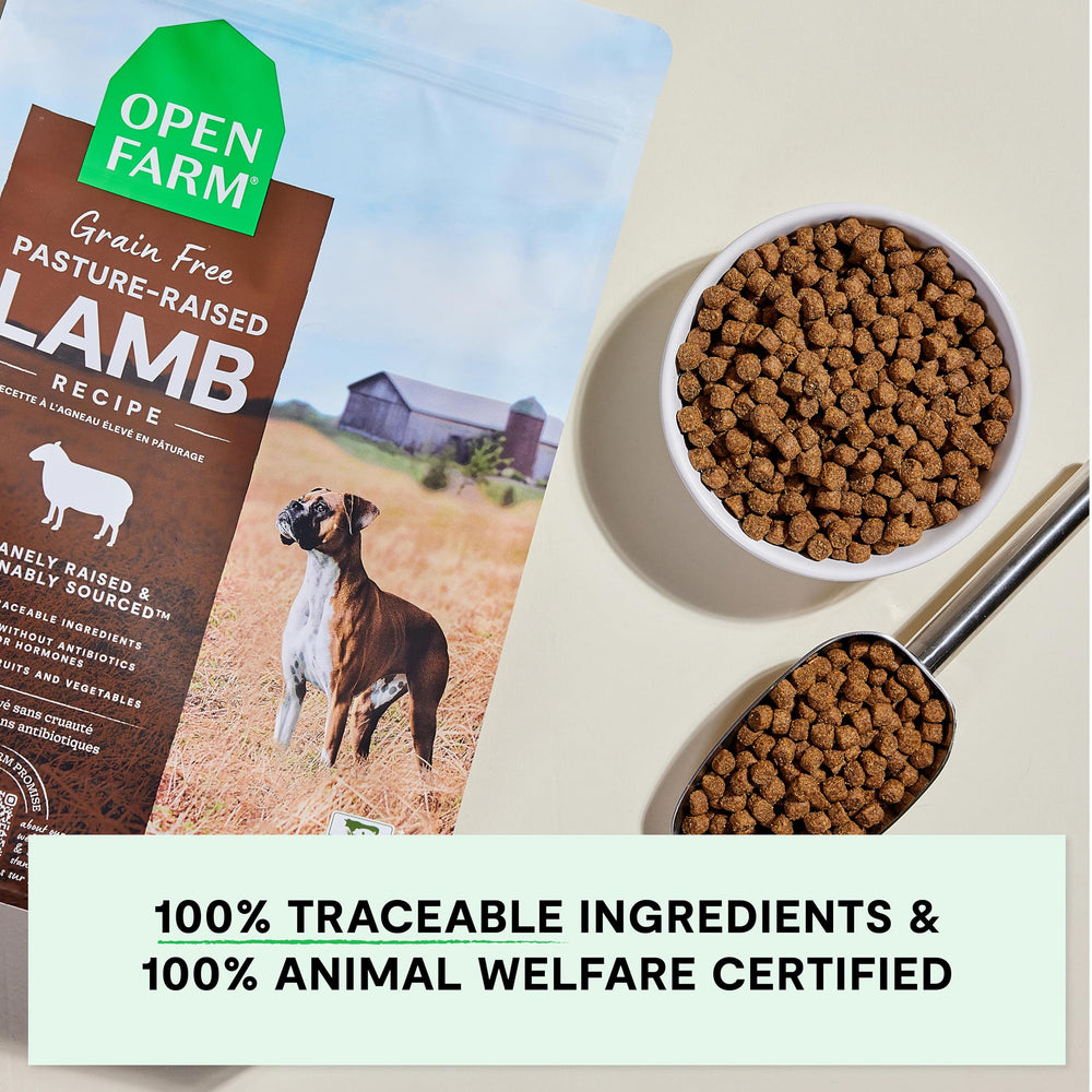 Open Farm Lamb Recipe kibble served in bowl—grain-free, protein-rich meal for everyday joy.