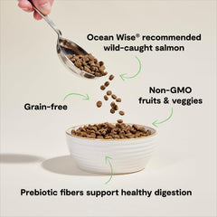 Open Farm no corn wheat or soy in the bowl emphasizes clean ingredient policy