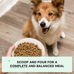 Open Farm non-GMO fruits and veggies support overall canine nutrition.