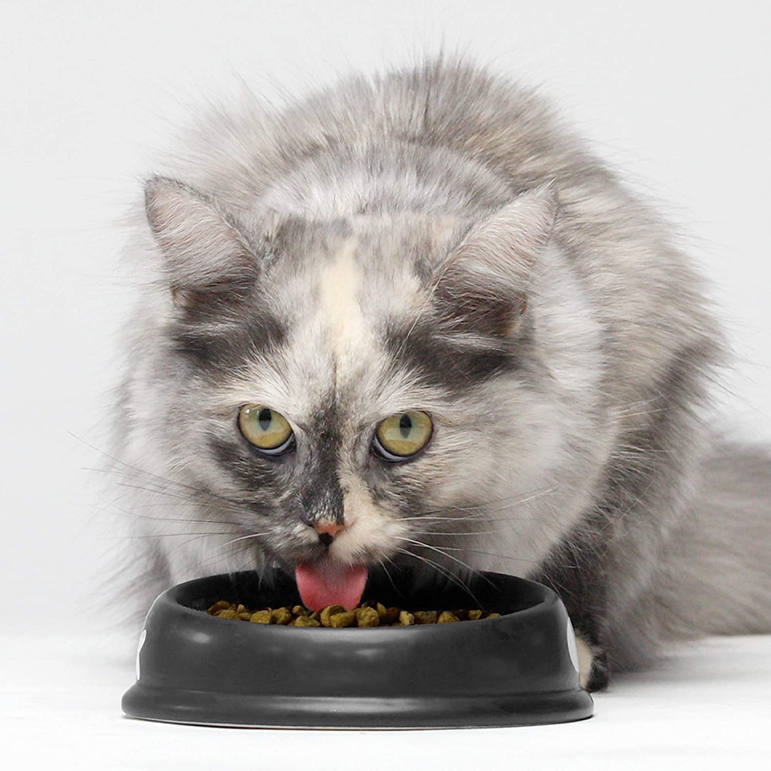Open Farm non-GMO pumpkin and turmeric add natural nutrition for cats.