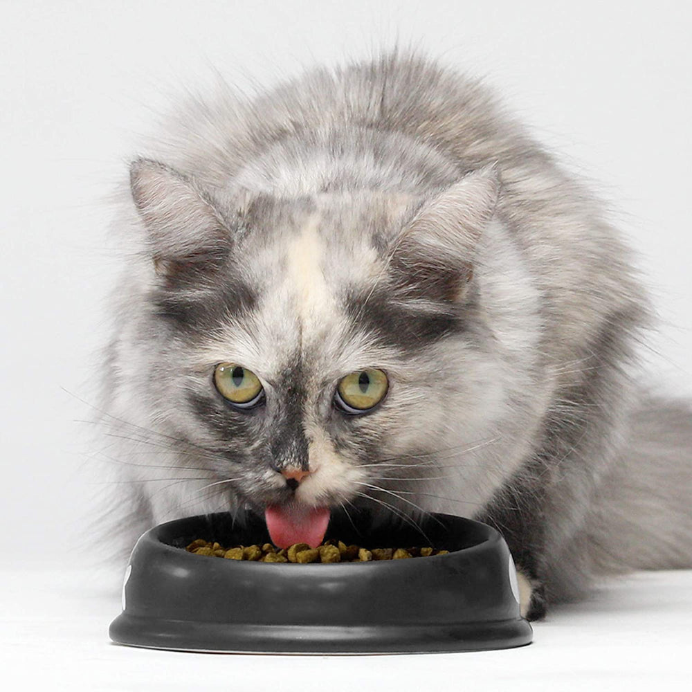 Open Farm non-GMO pumpkin and turmeric add natural nutrition for cats.