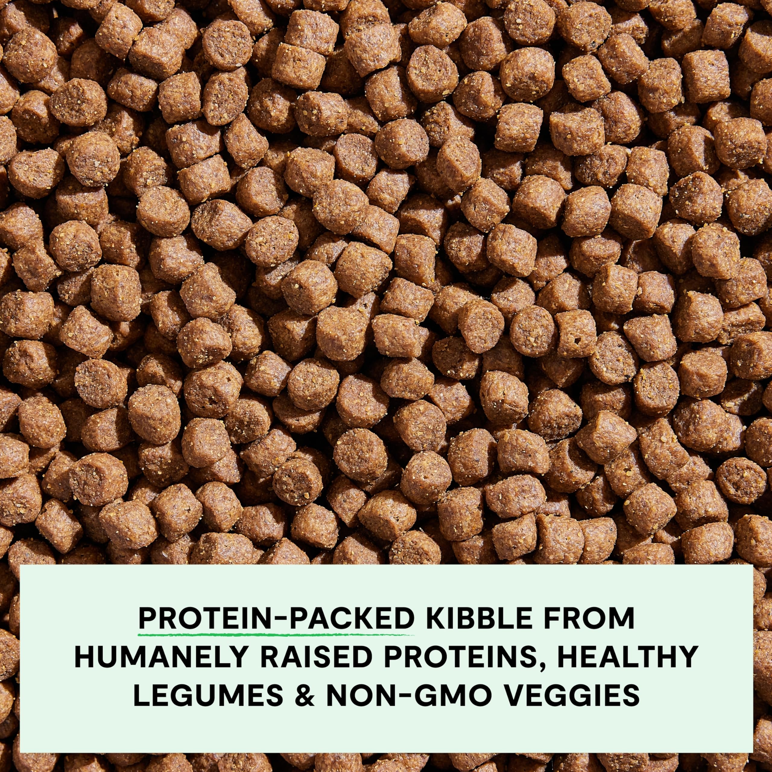 Open Farm non-GMO veggies image spotlights sweet potato and pumpkin for immune-supporting ingredients.