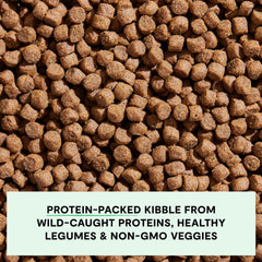 Open Farm non-GMO vegetables with pumpkin and coconut oil highlighted.