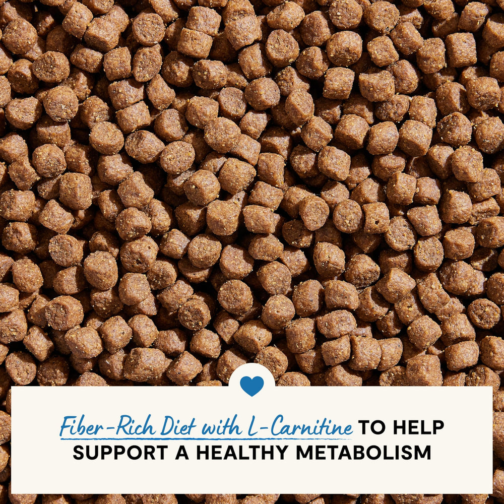 Open Farm omega-3 ingredients emphasize joint support and mobility benefits.