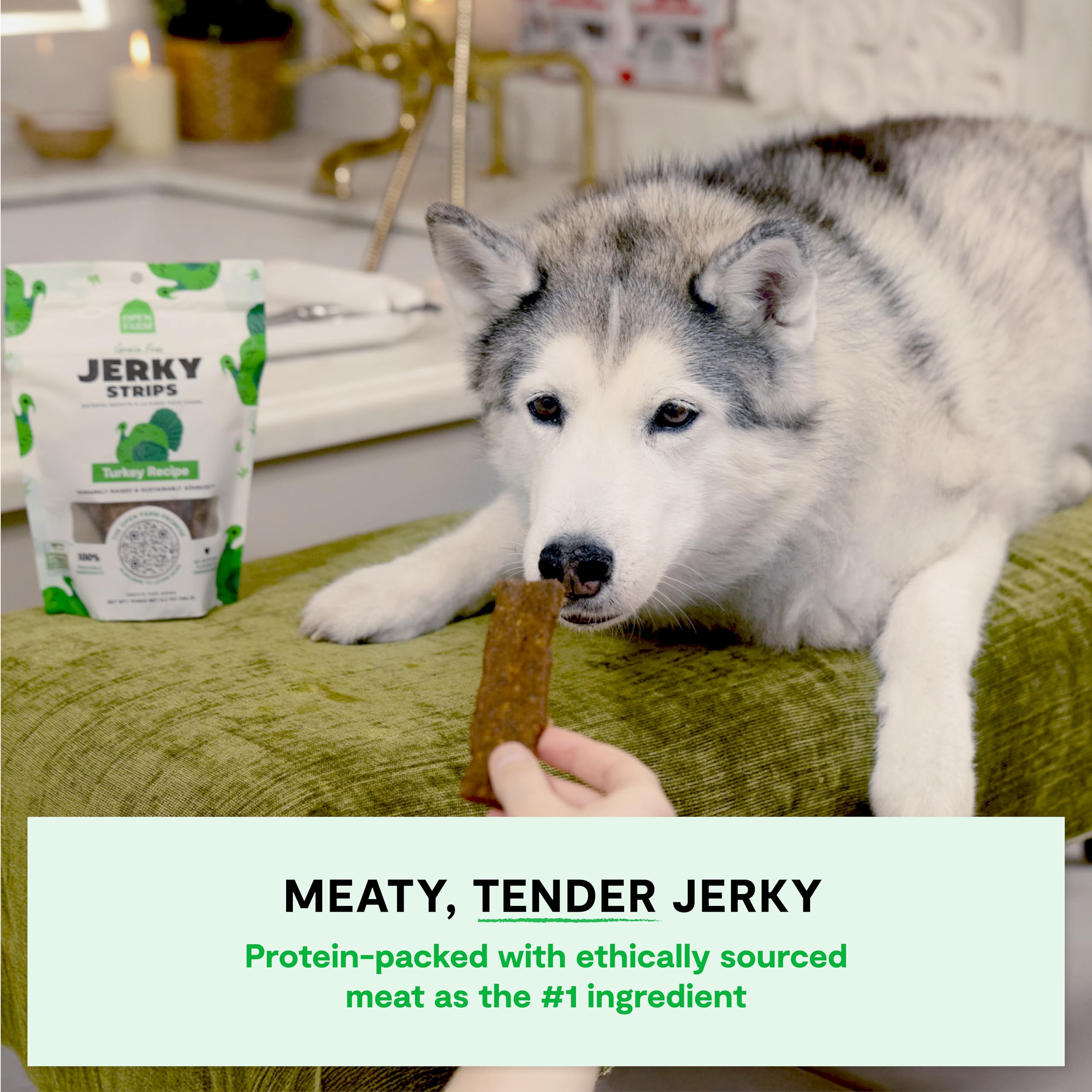 Open Farm oven-baked jerky process preserves flavor with slow heat.