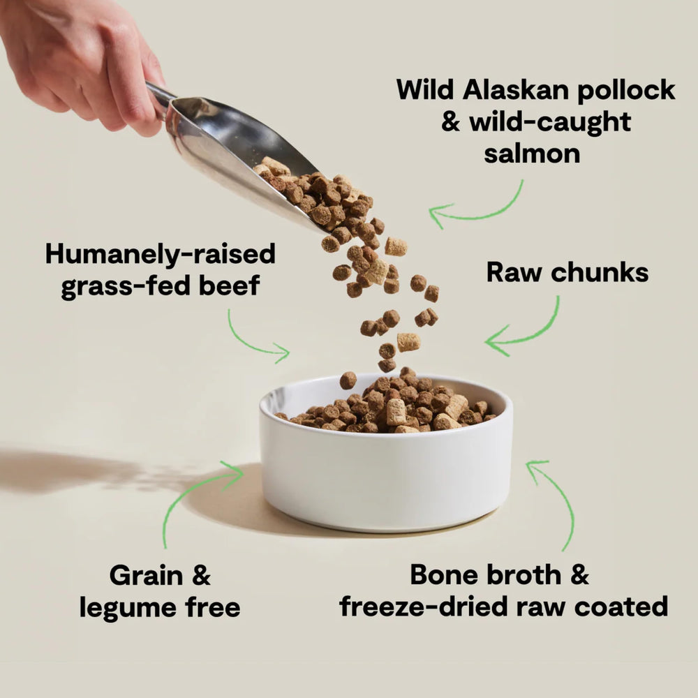 Open Farm pollock-salmon-beef kibble bowl – protein-rich bites for steady energy.