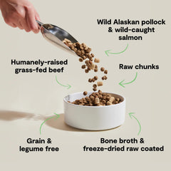 Open Farm pollock-salmon-beef kibble bowl – protein-rich bites for steady energy.