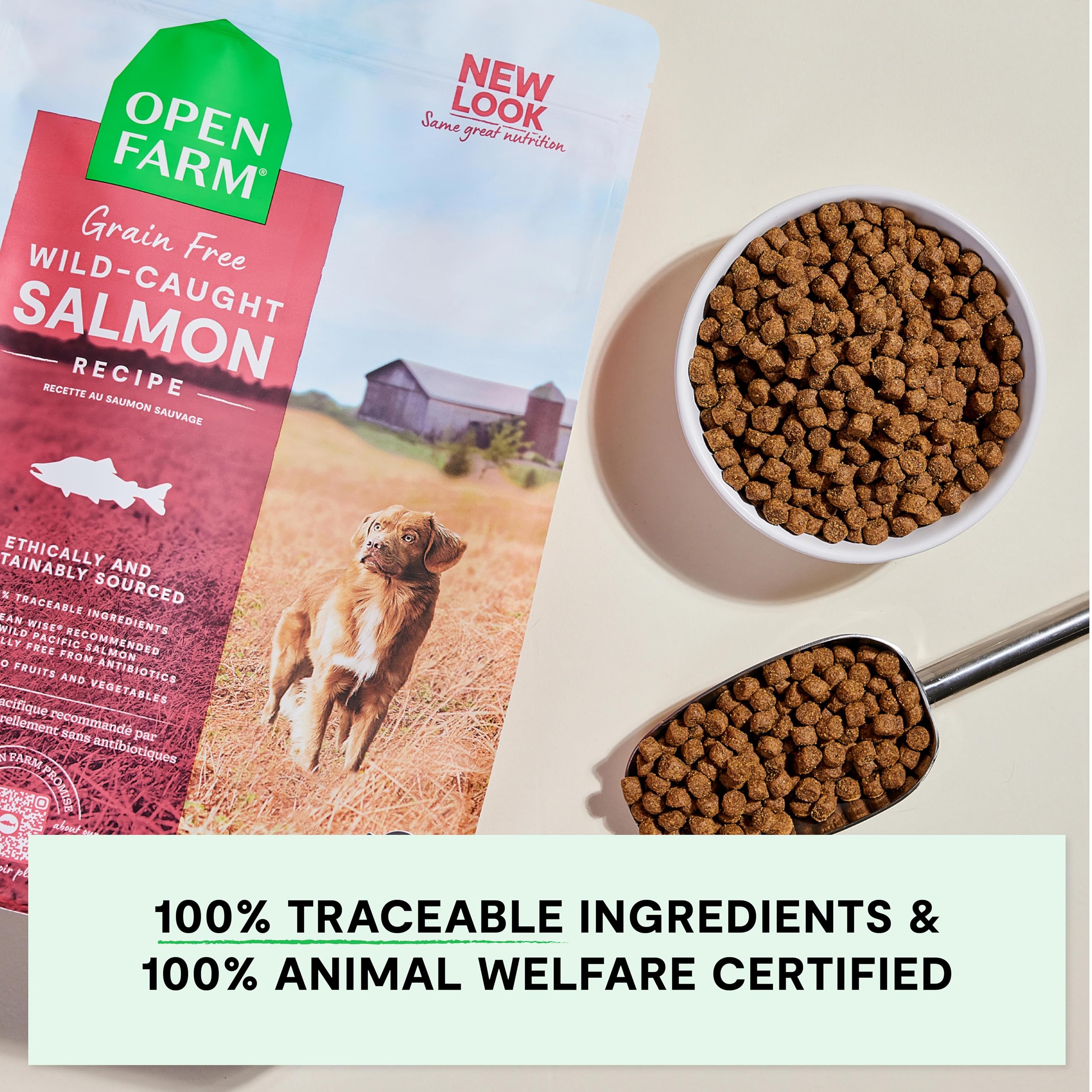 Open Farm pumpkin-coconut-oil superfoods emphasizes pumpkin and coconut oil for natural flavor.