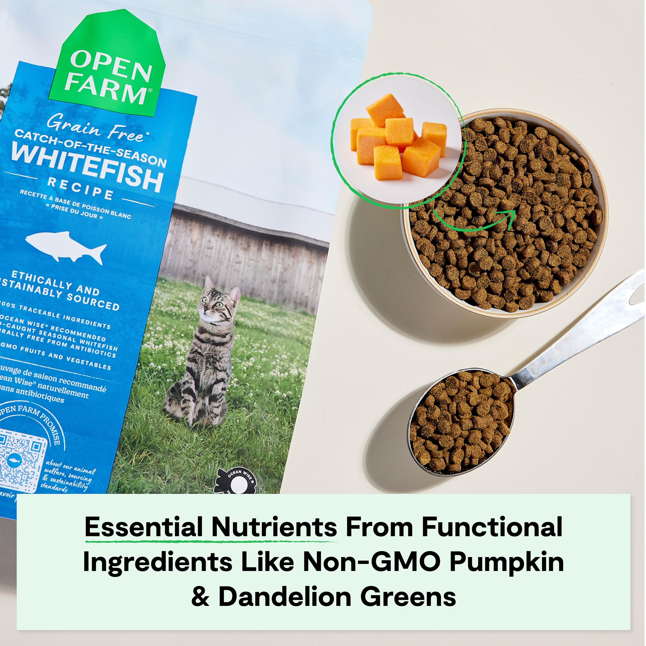 Open Farm pumpkin-dandelion greens ingredient close-up highlights non-GMO functional nutrients.