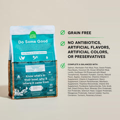 Open Farm puppy chicken-salmon kibble close-up emphasizes protein-packed nutrition for playful energy.