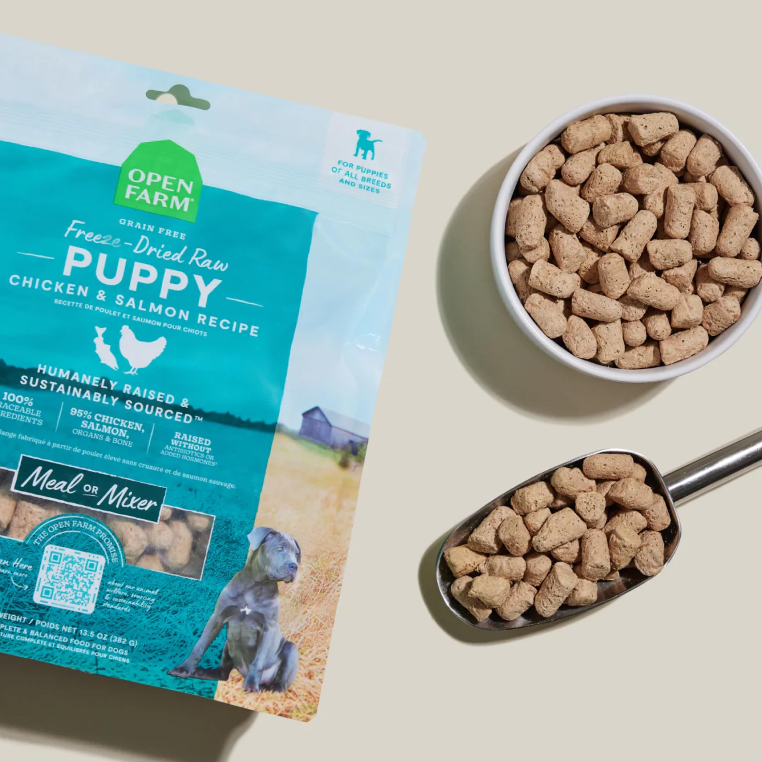 Open Farm DHA-salmon detail emphasizes omega fats for development-friendly nutrition.