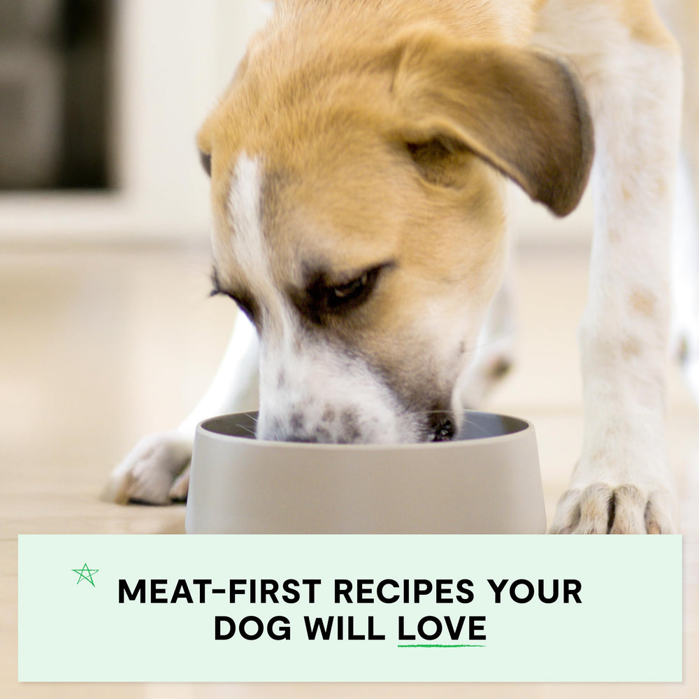 Open Farm 12.5oz cans enable easy mealtime rotation and topping options.