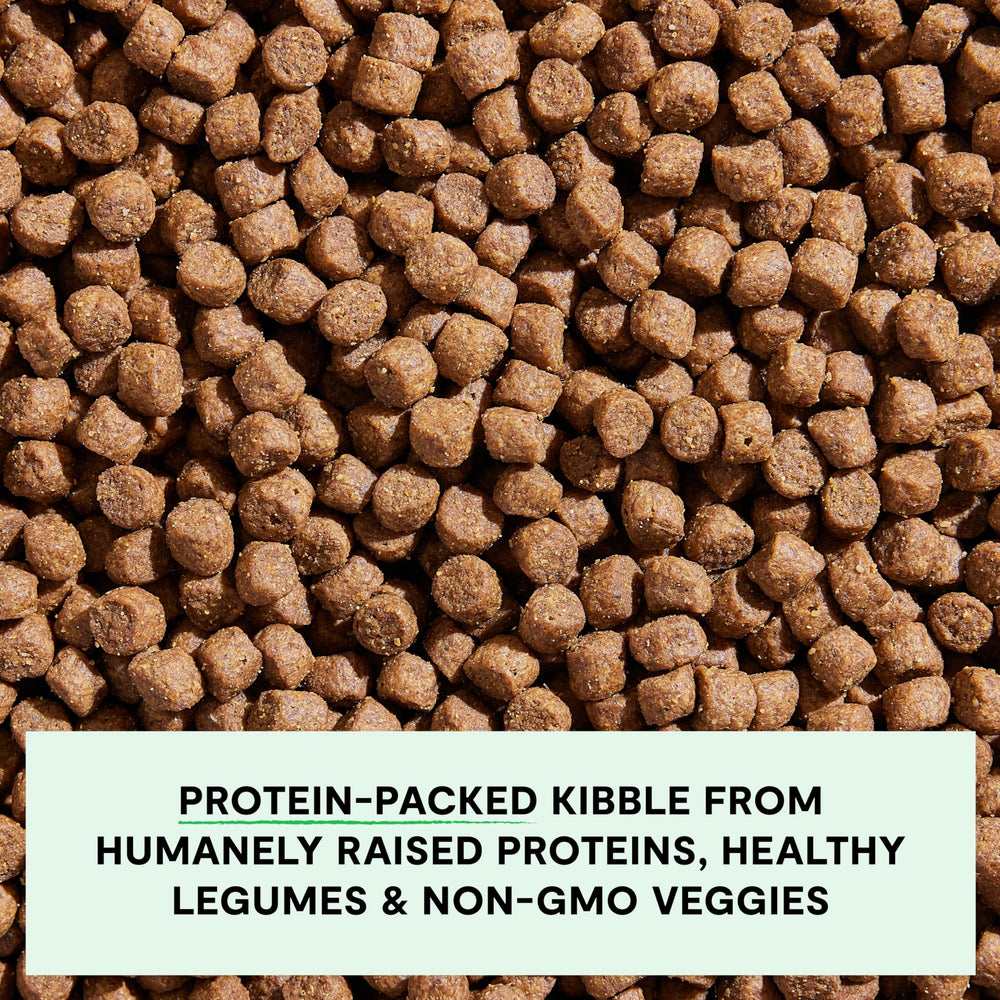 Open Farm non-GMO fruits and veggies image shows natural color and immune-friendly nutrition.