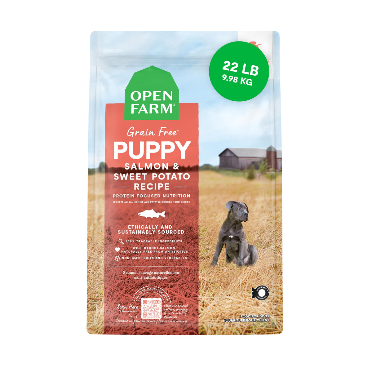 Open Farm puppy salmon kibble in bowl, supporting lean muscle and steady energy.