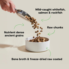 Open Farm RawMix ancient grains bowl highlighting balanced nutrition for energy.