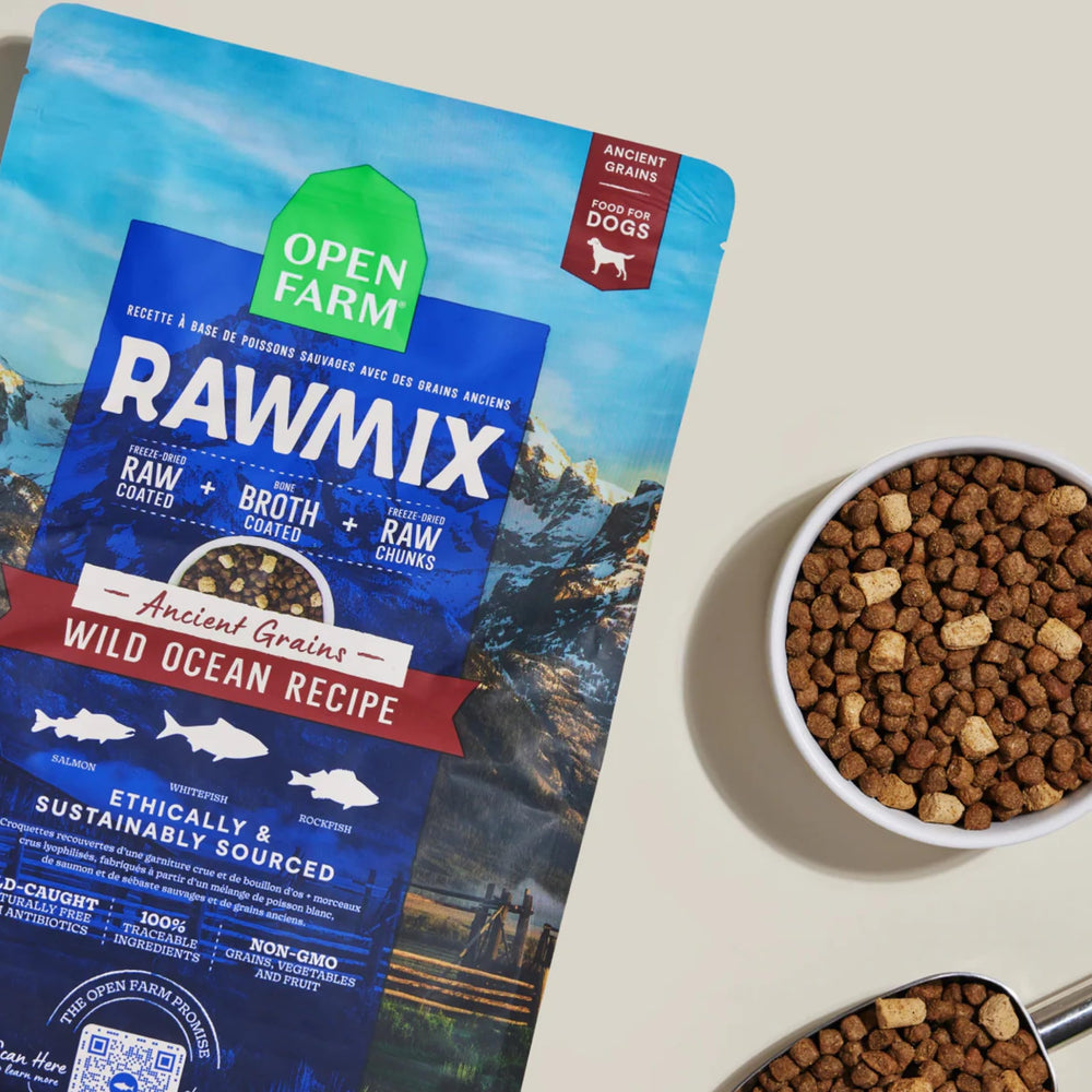 Open Farm RawMix bone broth-coated kibble demonstrates appealing texture and aroma.