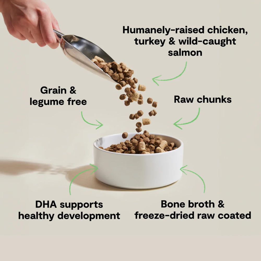 Open Farm RawMix bone broth-coated kibble close-up highlights savory coating