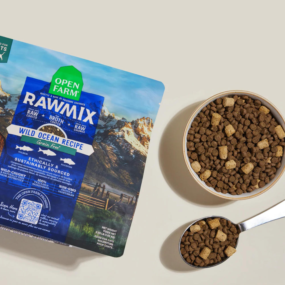 Open Farm RawMix kitten meal served illustrating complete ancestral diet for felines