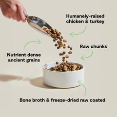 Open Farm RawMix dry kibble closeup – protein-rich bites with bone broth benefits in every crunch.