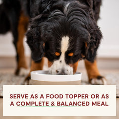 Open Farm RawMix meal topper shown on kibble for picky eaters.