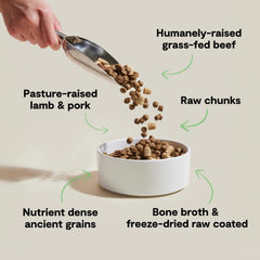Open Farm RawMix kibble closeup highlights protein-forward formula and appealing texture.