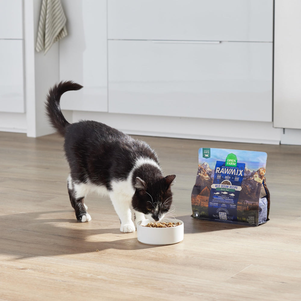 Open Farm RawMix prepared serving image shows convenient mealtime setup.