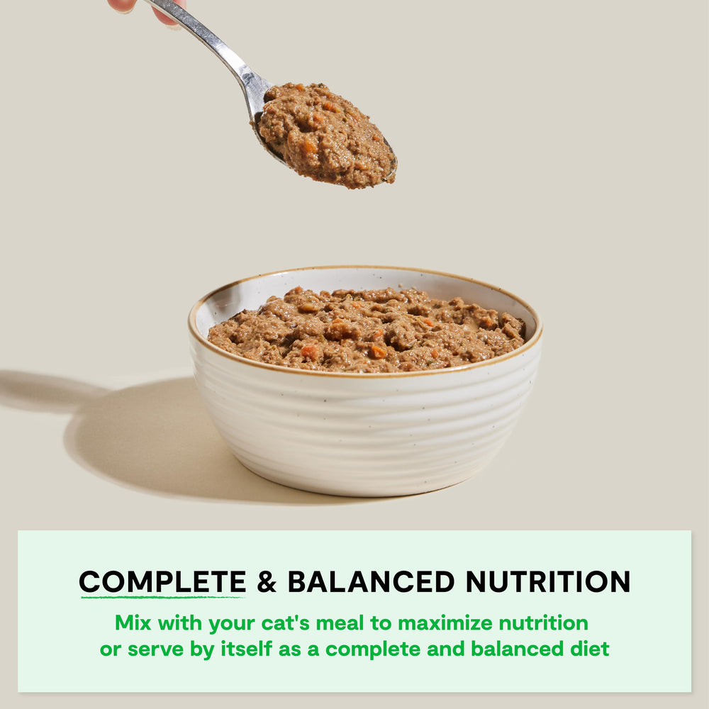 Open Farm Rustic Blend uses human-grade ingredients for premium texture and aroma at mealtime