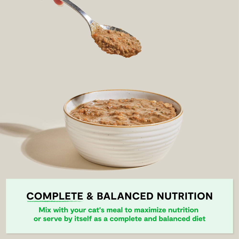 Open Farm Rustic Blend ingredients label shows clean, non-GMO ingredients for transparency.