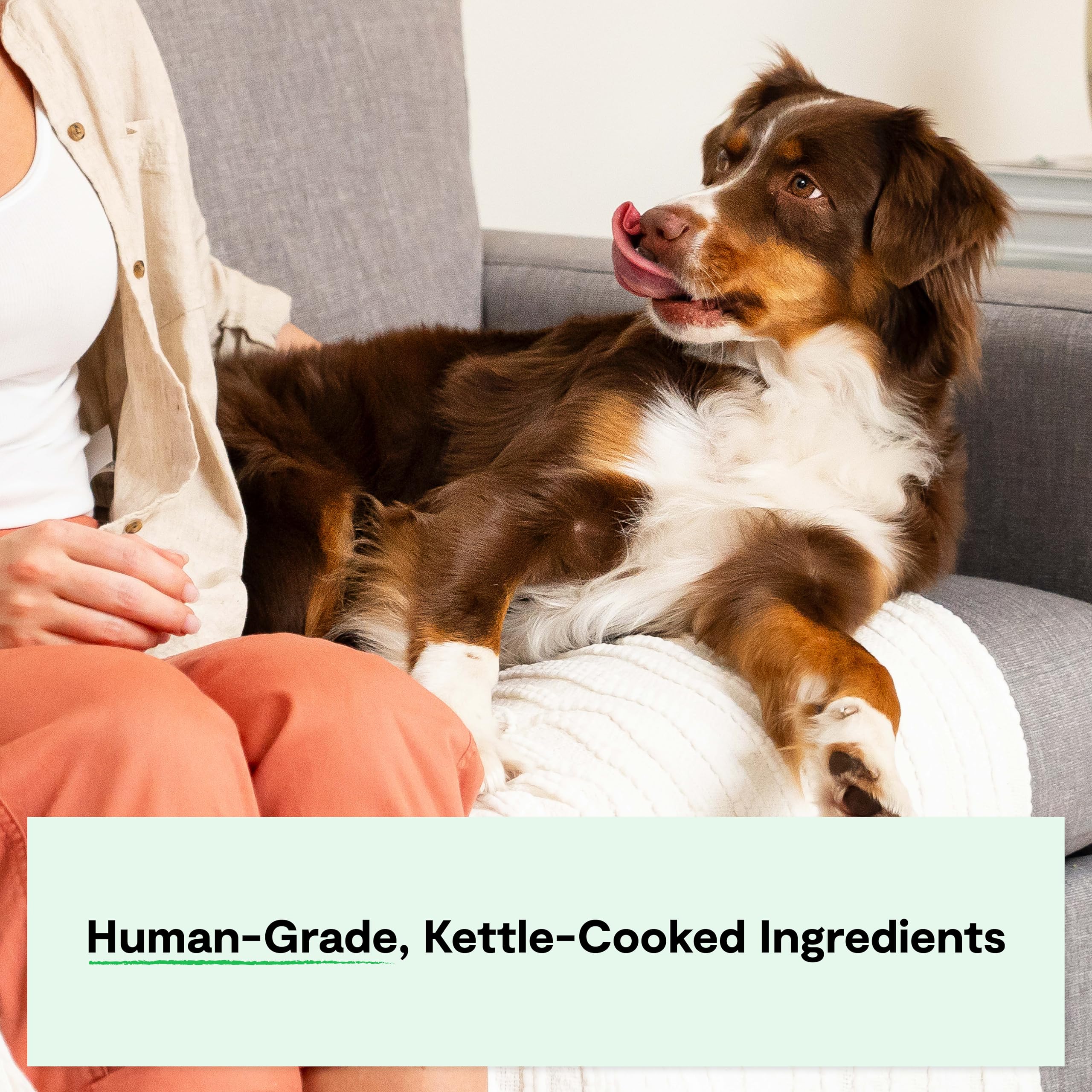 Open Farm Rustic Stews grain-free image emphasizes potato-free nutrition